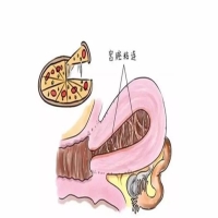 宫腔粘连做试管婴儿成功率有多少？