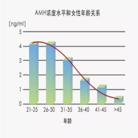 一篇讲清楚AMH低造成的原因以及它的影响