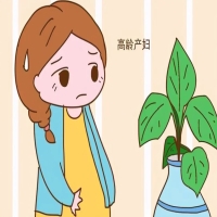 试管婴儿的最大年龄限制是多少？