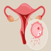 拯救子宫内膜炎：解析病因、治疗与预防