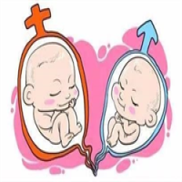 试管婴儿移植单胎还是双胎好？