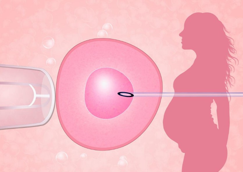 卵巢早衰做试管婴儿成功几率有多大